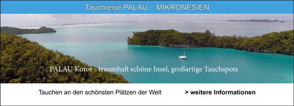 Tauchreise Palau Mikronesien 04.2024 jetzt guenstig buchen